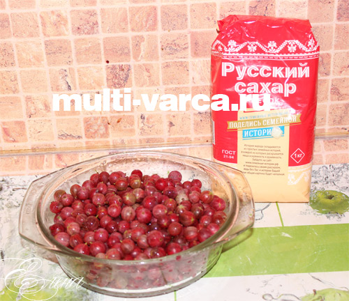 Інгредієнти для варення з аґрусу