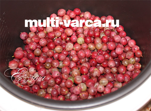 аґрус засипати в мультиварку